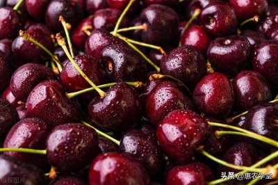 ​车厘子价格腰斩！现在车厘子市场价多少钱一斤？年前还会涨吗？