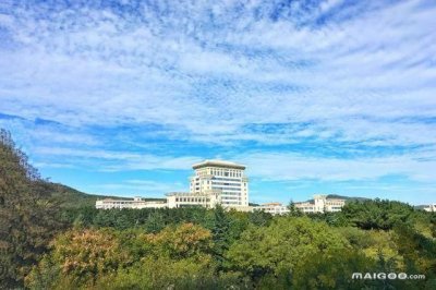 ​山东一本大学排名 山东一本大学有哪些 山东有几所一本大学