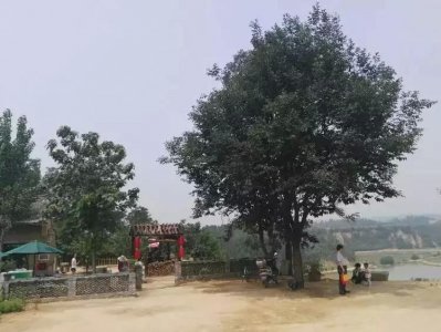 ​焦作孟州美丽乡村——莫沟 ，感受乡情，乡愁！