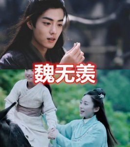​魏无羡的母亲，金光瑶的母亲，输给蓝忘机的母亲！网友：快出道