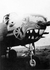 ​太平洋战争中的“动物园”：B-25轰炸机，猛兽横行
