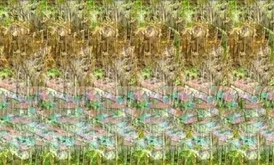 ​9张趣味的裸眼3Ｄ图，请各位看官自备斗鸡眼查看