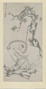 ​八大山人画作 | 高耸粗壮的苍松，挺立在嶙峋的岩石上