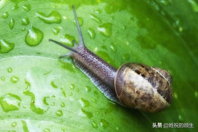 ​我要一步一步往上爬