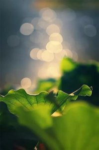 ​打坐三年的变化