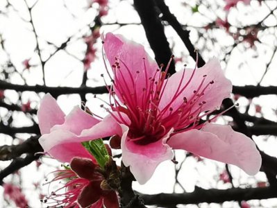 ​你要去哪里