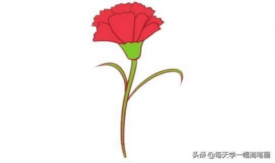 ​每天学一幅简笔画--母亲节送给妈妈的康乃馨简笔画