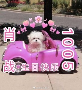 ​肖战阴历生日是几月几号