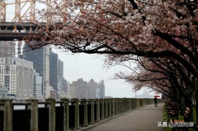 ​全球确诊超184万，美国确诊超55万
