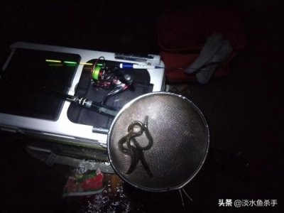 ​为何“泥鳅党”屡禁不止？深入了解后我发现了这些秘密！！！