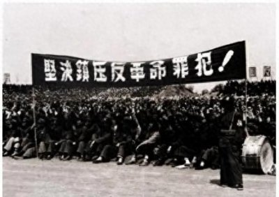 ​1951年，大特务杨登瀛在南京被抓，判刑前：陈赓可以证明我的身份