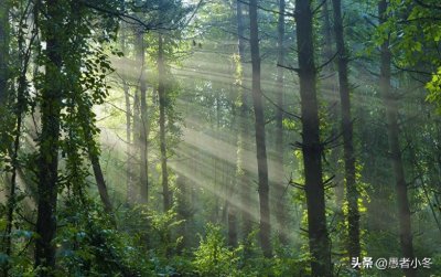 ​成都周边适合避暑的5个好去处，20多度的夏天，适合一家人游玩