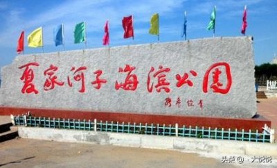 ​辽宁大连夏家河子赶海#辽宁赶海圣地2#