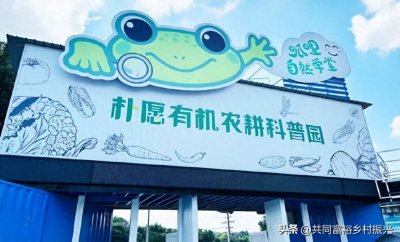 ​400亩4次转型，走通从“单一种植”到“三产融合”的“朴愿模式”