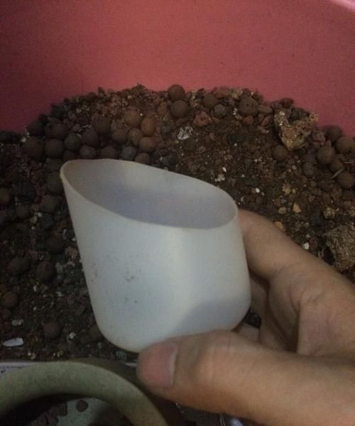 我的花盆中间破了个洞，怎样才能将它堵上而又不漏水