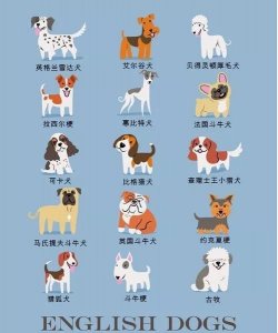 ​最全的狗狗品种图解，不懂狗狗的可以看一下