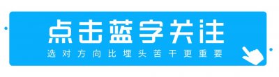 ​“端午节”、“粽子”用英文怎么说？