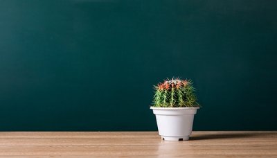 ​上海气候北方人适应吗