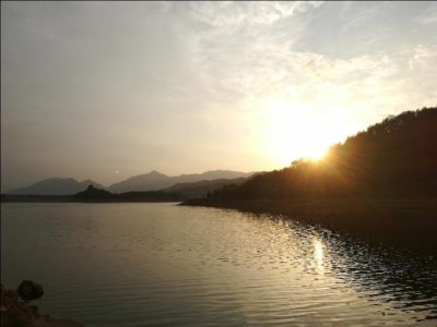 ​现在在农村哪些项目可以赚钱(赚钱的好项目在农村现在做什么生意赚钱)