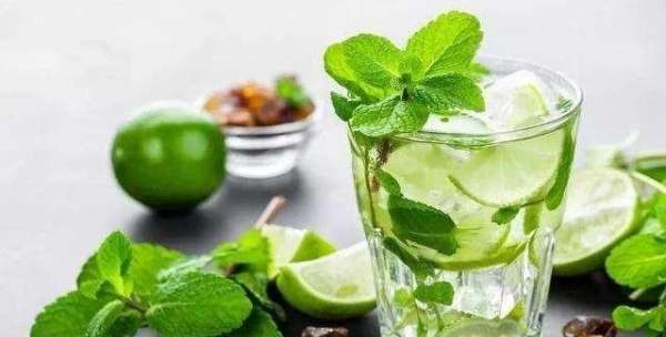 mojito是什么,mojito有什么含义图5