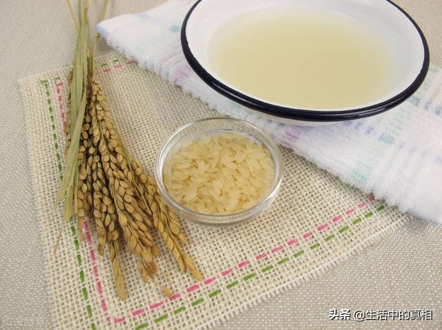 淘米水是大米还是小米解毒好（你家吃米前会用水淘米吗）(8)