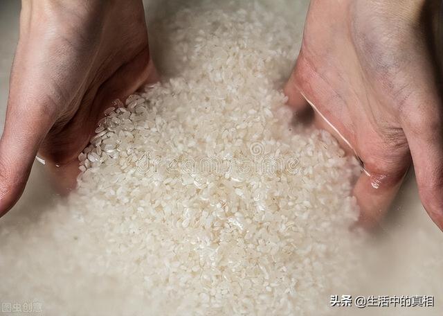 淘米水是大米还是小米解毒好（你家吃米前会用水淘米吗）(7)