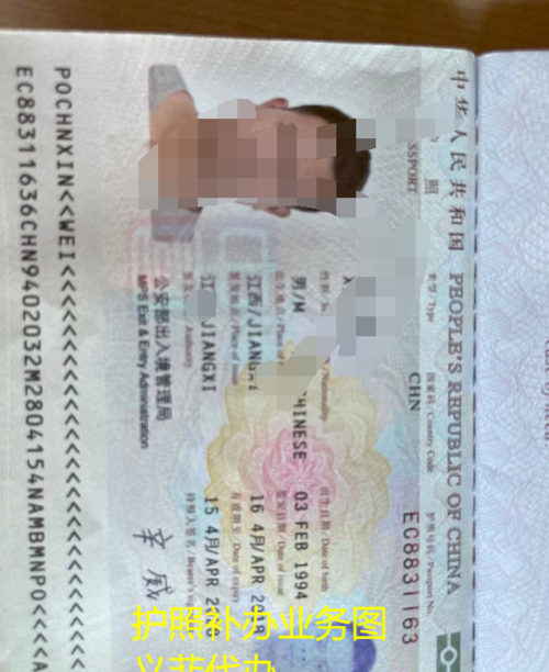 办理国外护照需要什么手续
