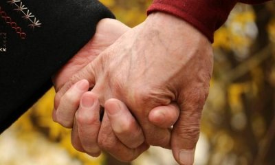 ​执子之手与子偕老什么意思，生死契阔，与子成说，执子之手，与子偕老。什么意