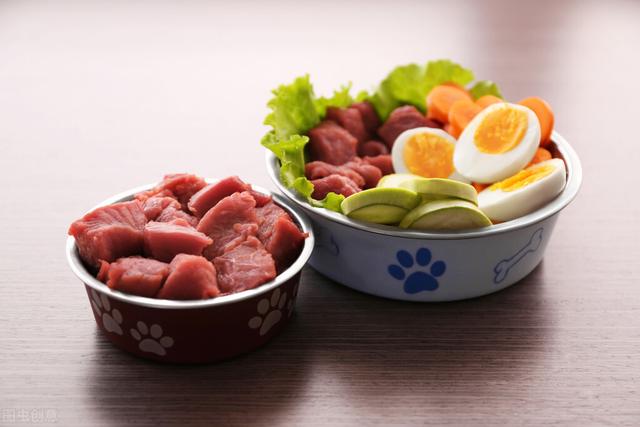 喂食狗粮的正确方法（关于狗粮和喂食的科普）(3)