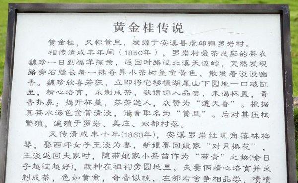 福建安溪产什么茶出名