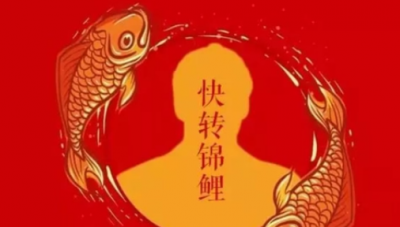 ​锦鲤是什么梗,好运锦鲤是什么意思