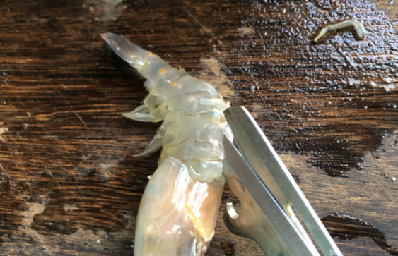 大头虾怎么处理干净,大虾怎么处理干净头部图6