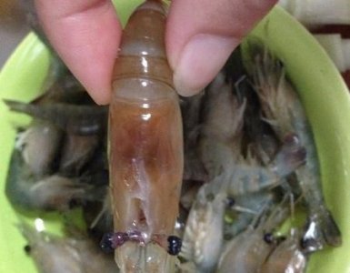 ​大头虾怎么处理干净,大虾怎么处理干净头部