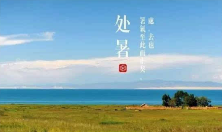 处暑鱼疯长是什么季节