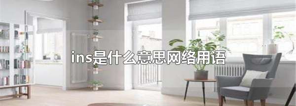 ins什么意思,ins风是什么意思,ins风服装搭配图2