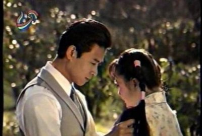 ​25年没等来续集的紫藤花园和得到邓小平办公室批复的她