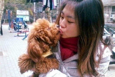 ​为什么每次回家泰迪犬总是很兴奋？这5个原因，让人觉得很暖心！
