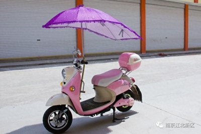 ​「热点」车顶放玩偶也违法！交警开展专项整治，这样要罚款