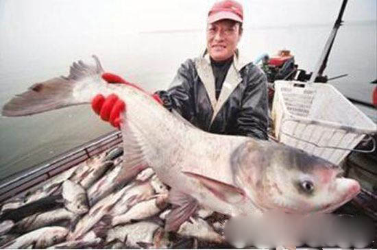 全球最恐怖的外星寄生虫入侵地球 人类玩完了!