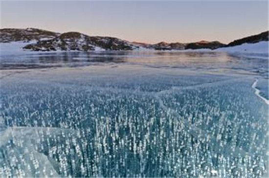 南极巨虫惊现南极洲冰下湖 南极人竟是外星寄生虫?