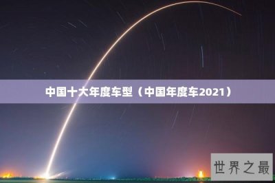 中国十大年度车型(中国年度车2025)