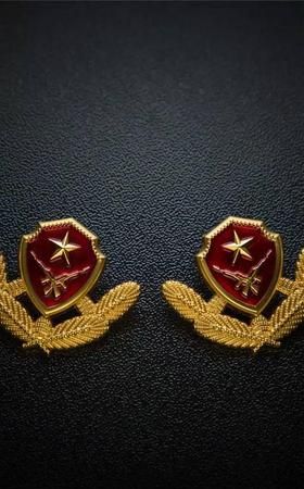 现在中国武警部队还有几个兵种