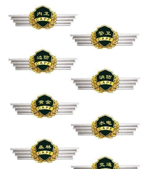 现在中国武警部队还有几个兵种