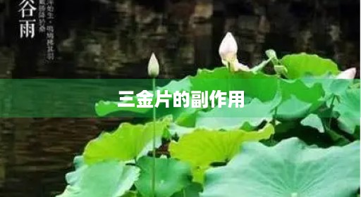 三金片的副作用