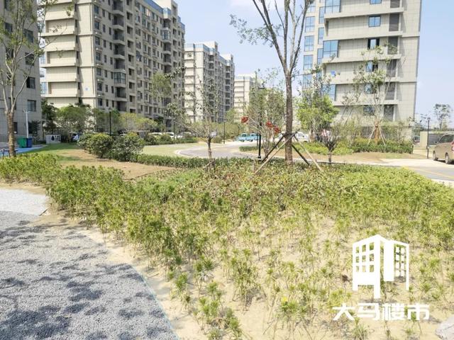 马鞍山房子为什么难卖（马鞍山这里业主刚刚拿房）(12)