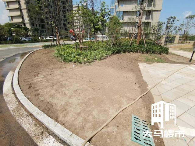 马鞍山房子为什么难卖（马鞍山这里业主刚刚拿房）(17)