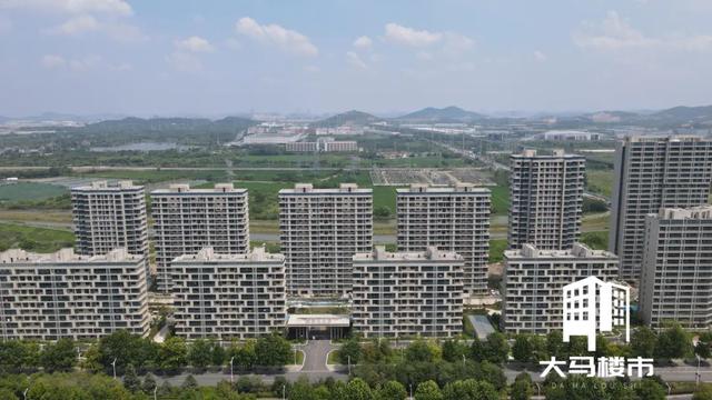 马鞍山房子为什么难卖（马鞍山这里业主刚刚拿房）(11)