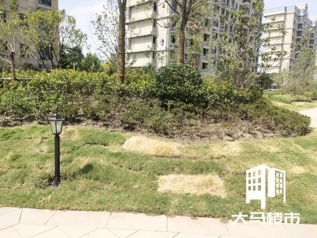 马鞍山房子为什么难卖（马鞍山这里业主刚刚拿房）(15)