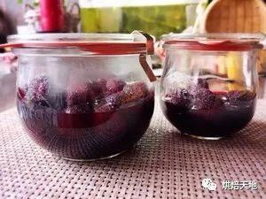 在家如何自制水果罐头（1分钟教你自制各种水果罐头）(37)