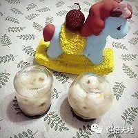 在家如何自制水果罐头（1分钟教你自制各种水果罐头）(31)